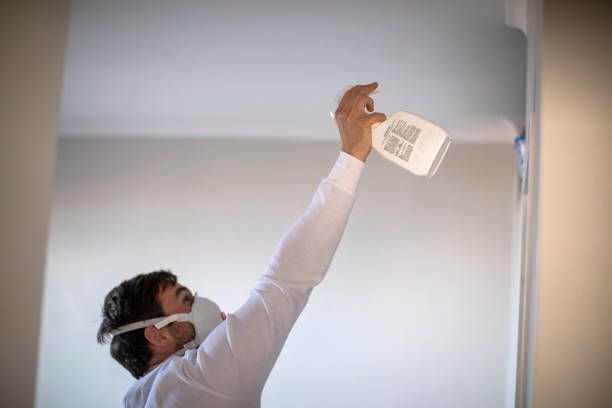 Best Attic Mold Removal  in Hampton, SC
