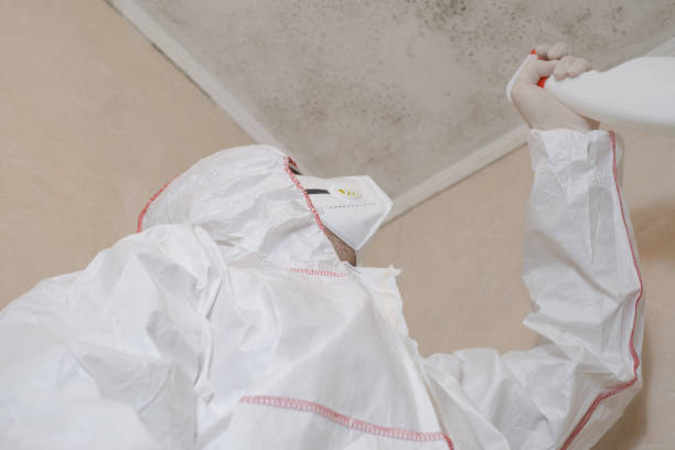 Water Damage Restoration in Hampton, SC