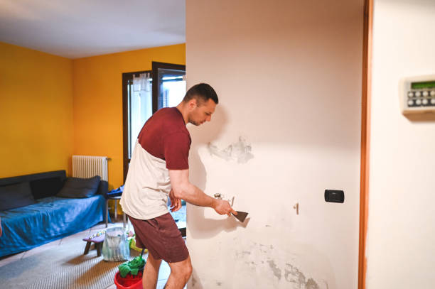 Best Mold Removal Company Near Me  in Hampton, SC